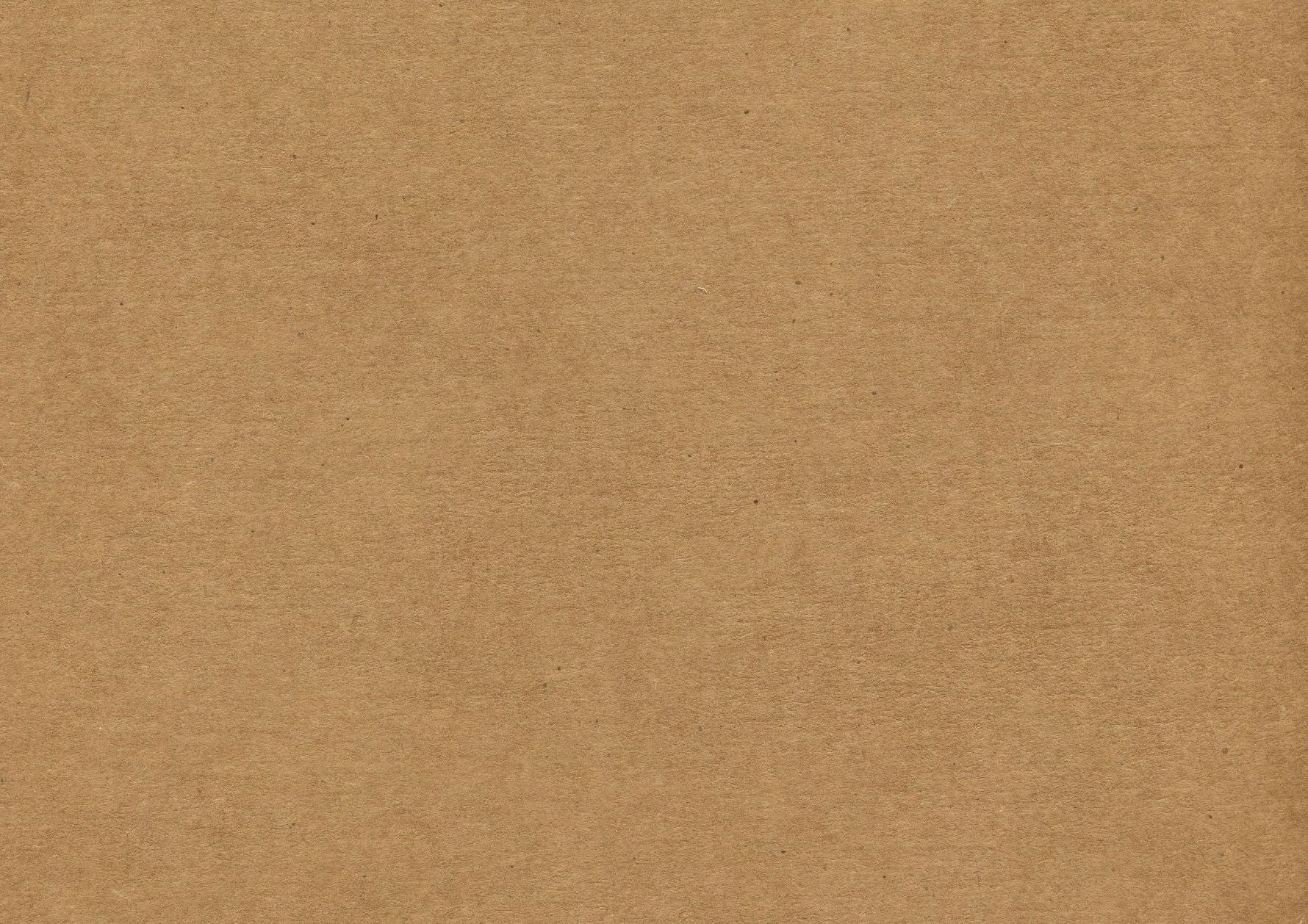 fallback text for an image