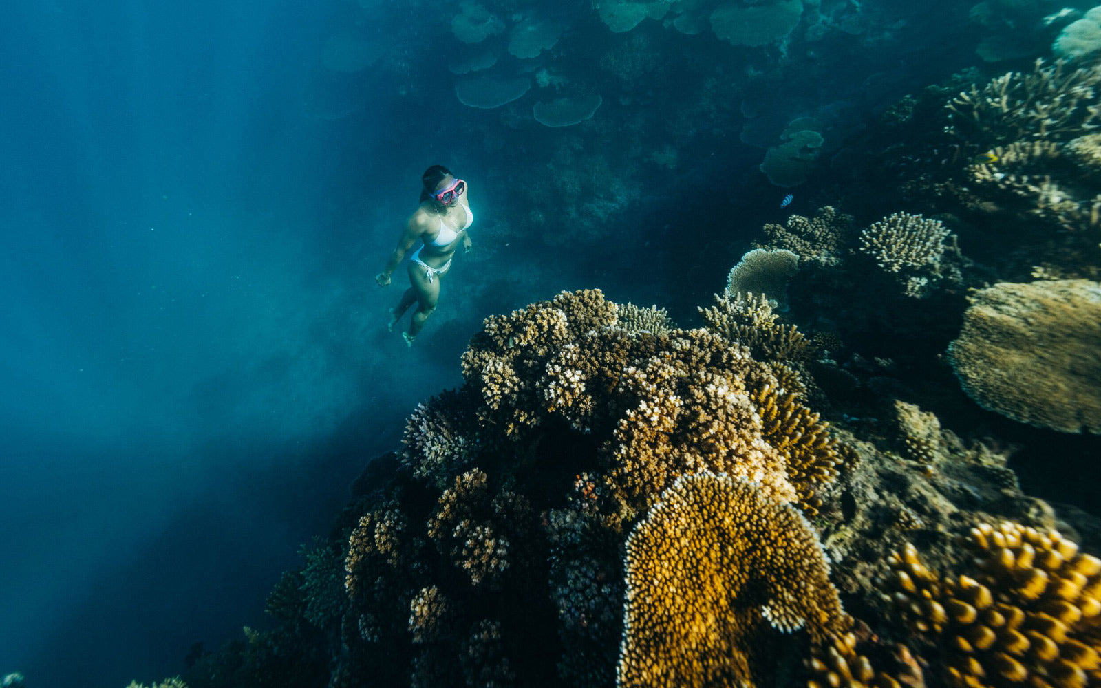 Restoring Land & Sea