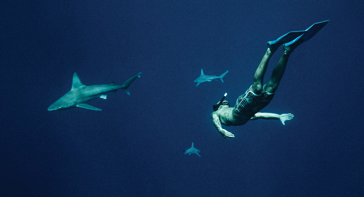 The Marine Scientists