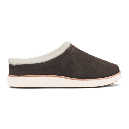 Dark Oak / Golden Sand