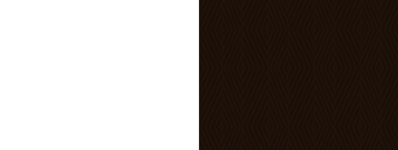 fallback text for an image