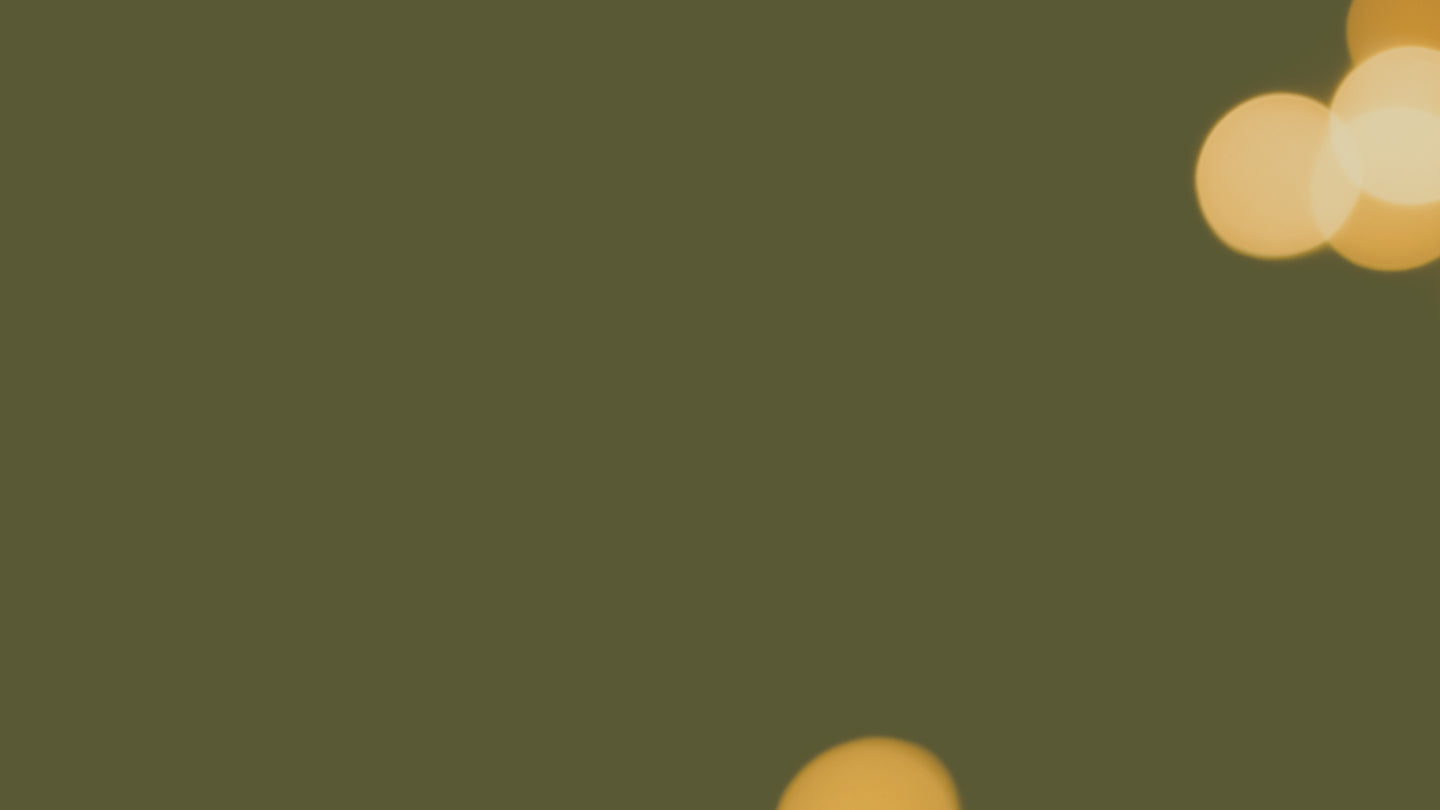 fallback text for an image