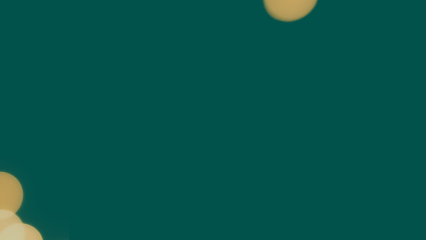 fallback text for an image