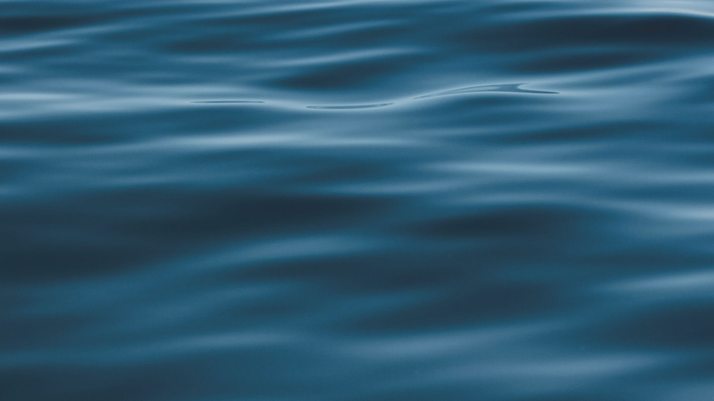 fallback text for an image