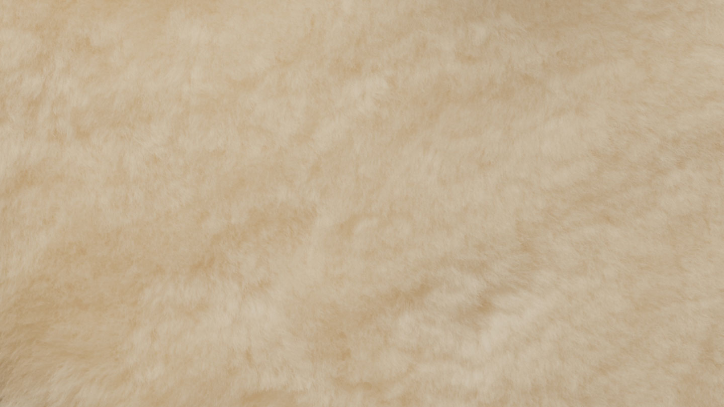 fallback text for an image