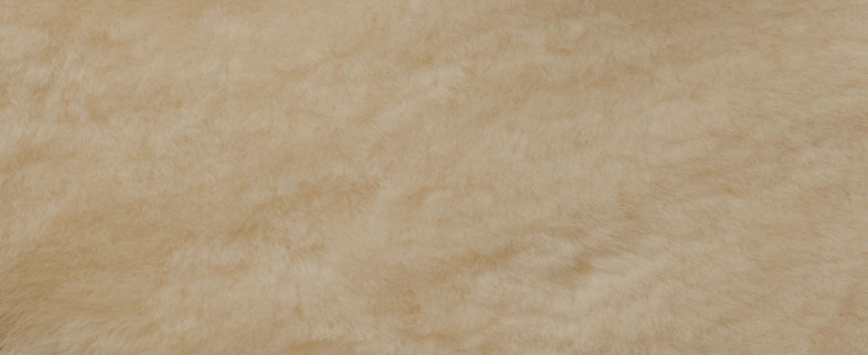 fallback text for an image