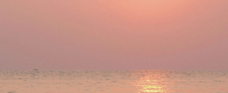 fallback text for an image