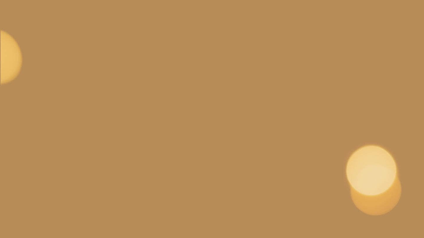 fallback text for an image