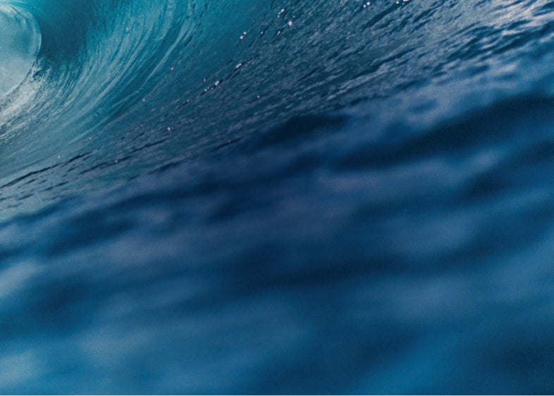 fallback text for an image