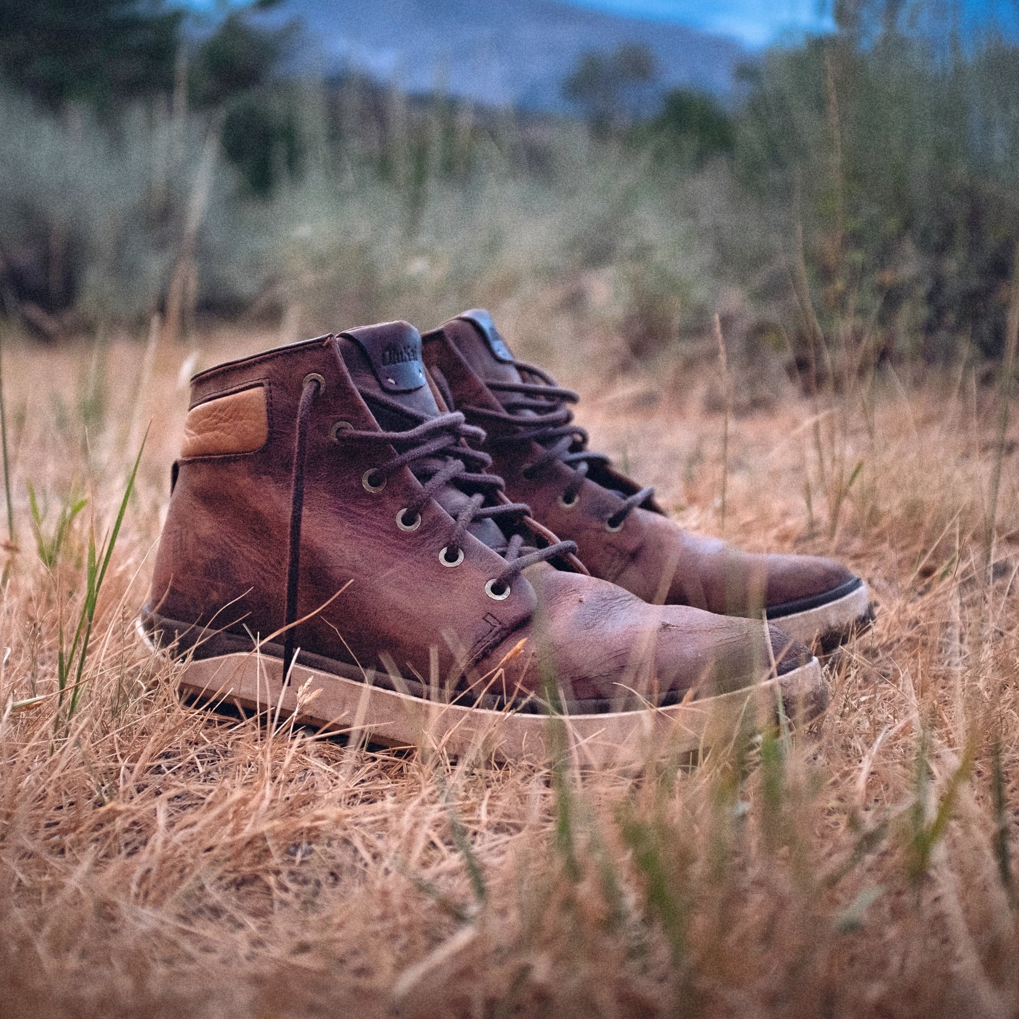 Kekaha Men’s Chukka Boots Toffee / Off White OluKai OluKai Canada