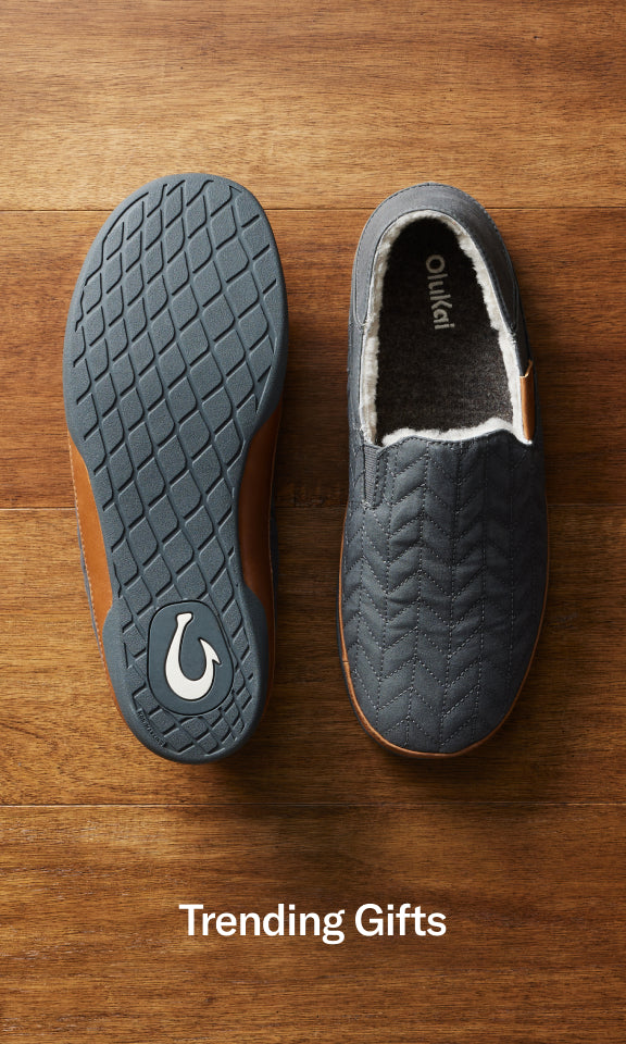 fallback text for an image