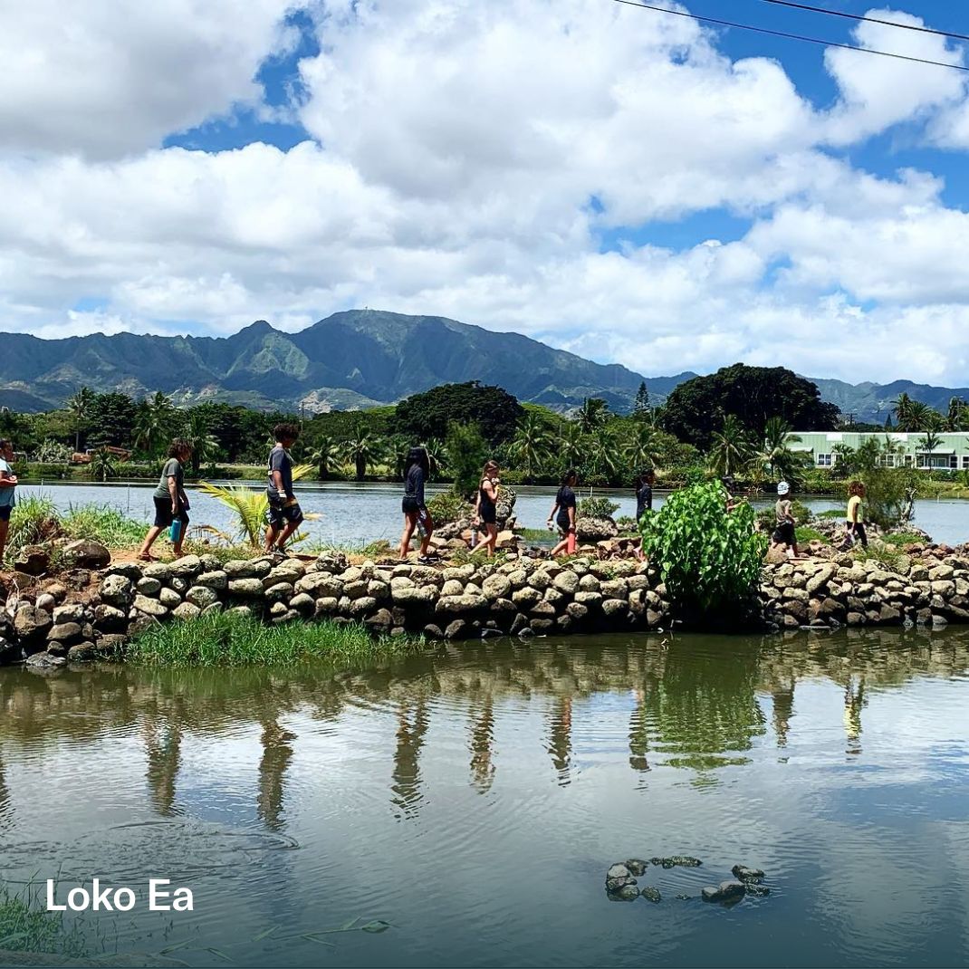 O‘ahu Island Guide – OluKai Canada