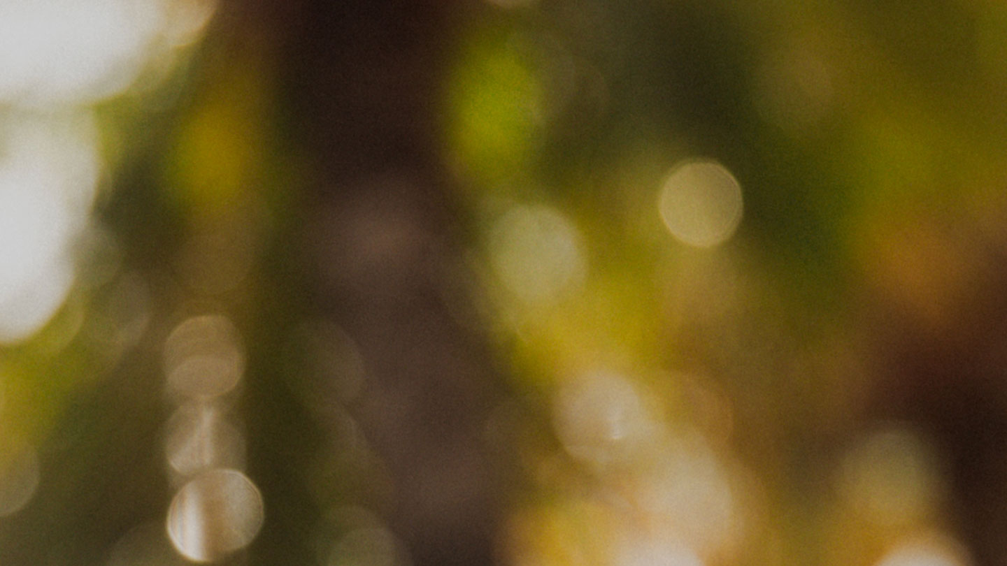 fallback text for an image