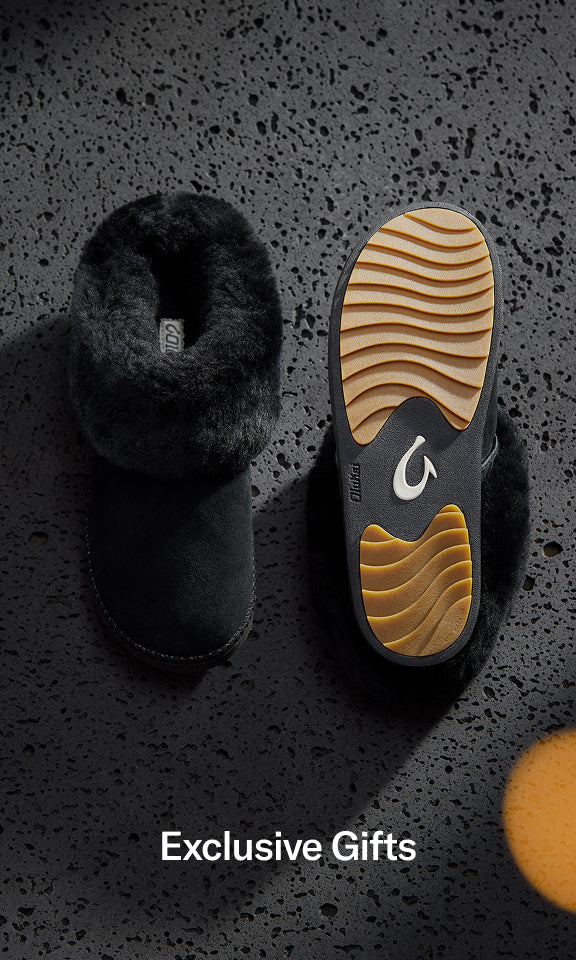 fallback text for an image