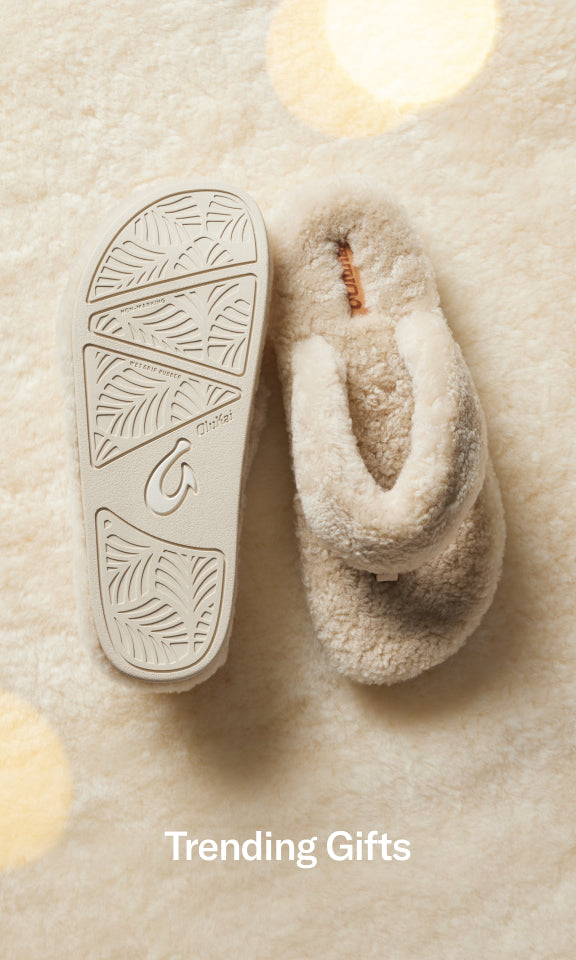 fallback text for an image