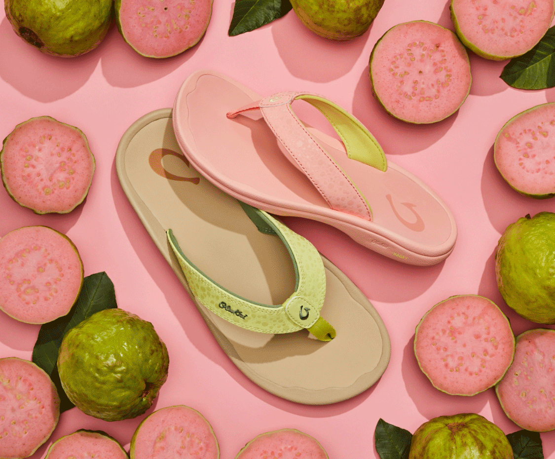 Black Friday Cyber Monday Exclusive Fruit Stand Collection - Guava
